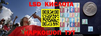 mdpv Бердск