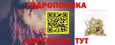 mdpv Бердск