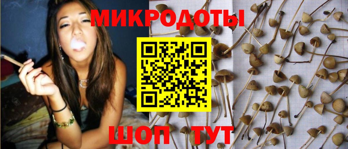 Галлюциногенные грибы Cubensis Симферополь