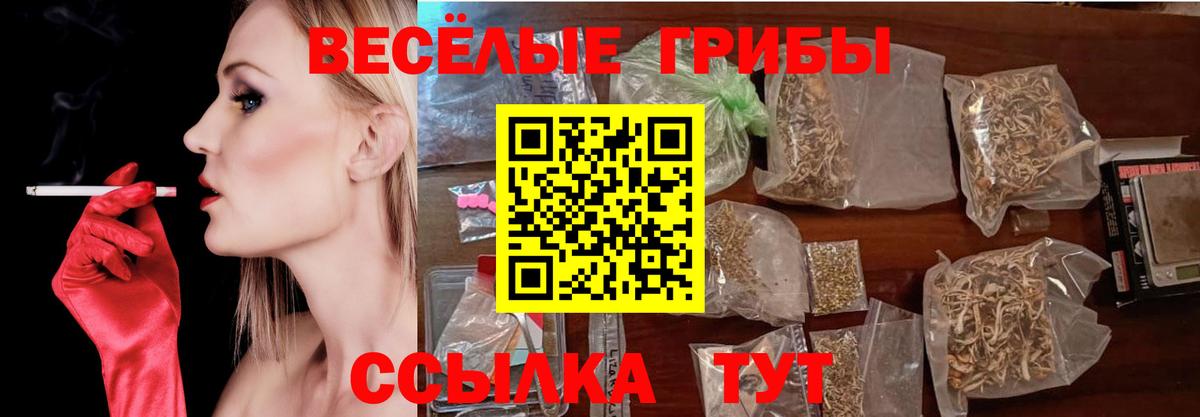 Псилоцибиновые грибы Cubensis  Вход с VPN  Симферополь  Галлюциногенные грибы прущие грибы 